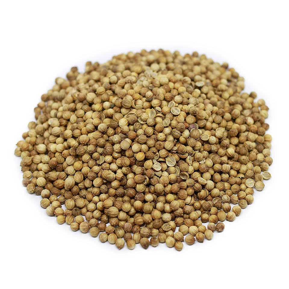 Bulk Coriander Seeds supplied from Egypt